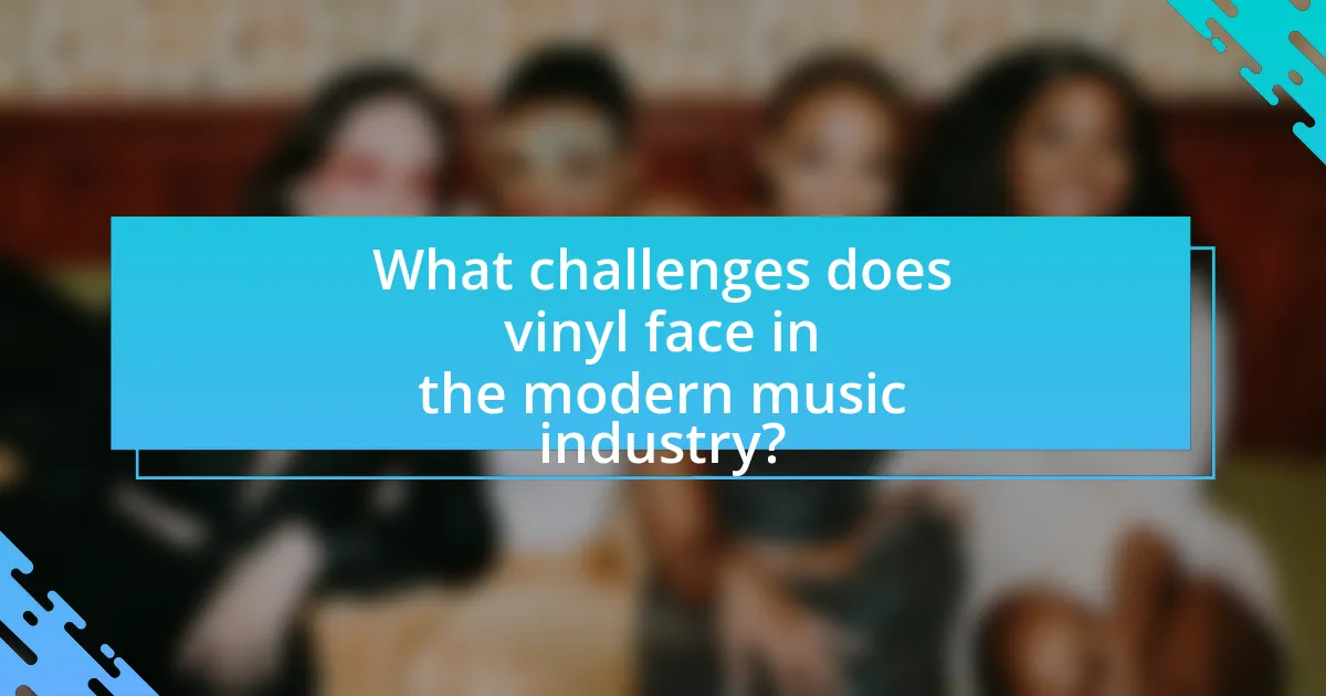What challenges does vinyl face in the modern music industry?